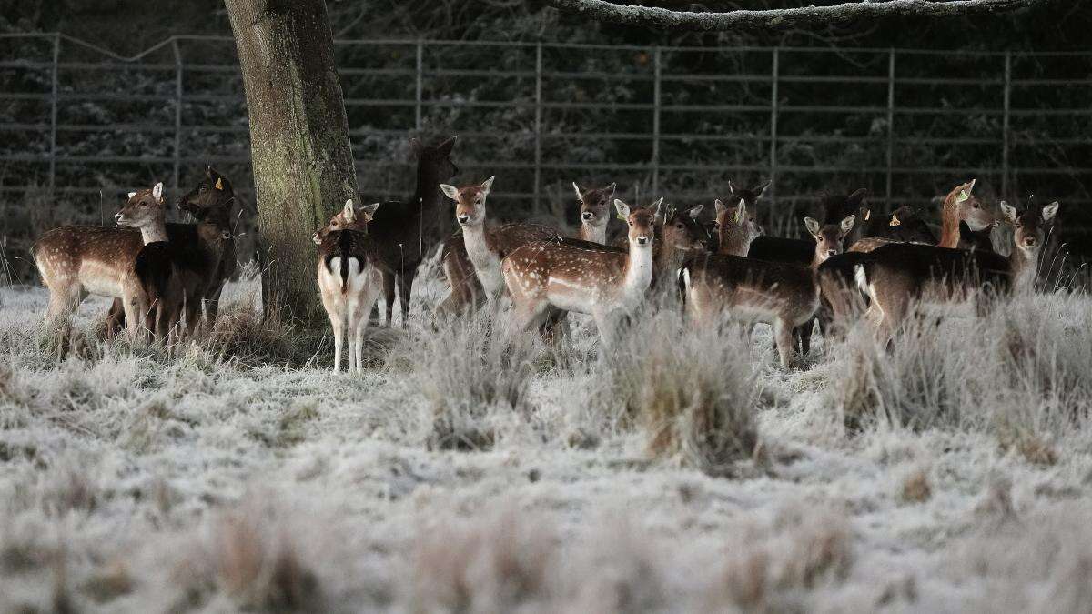 Emergency team meeting as country braces for ‘multi-hazard weather event’