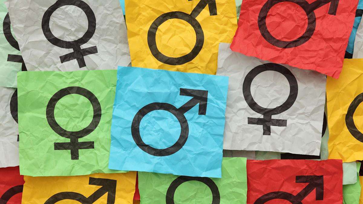 Public bodies must not conflate sex with gender in data, report author warns