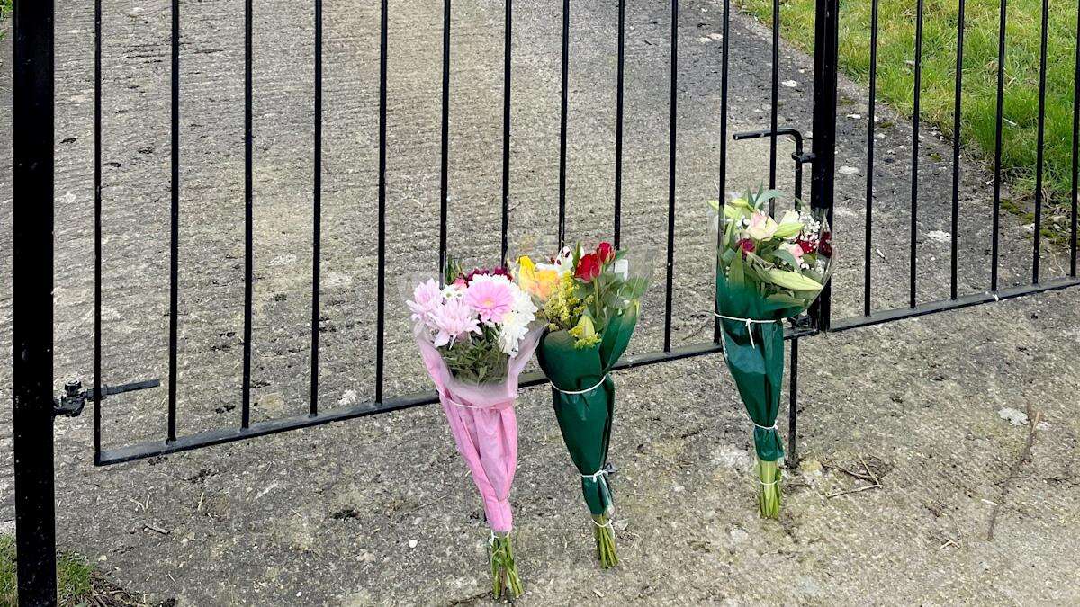 Two bailed following dog attack that killed woman, 19