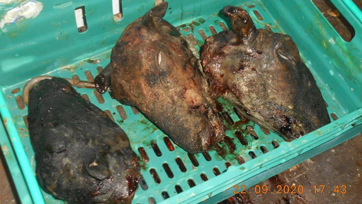 Two men jailed for conspiring to sell meat meant for pet food to shoppers
