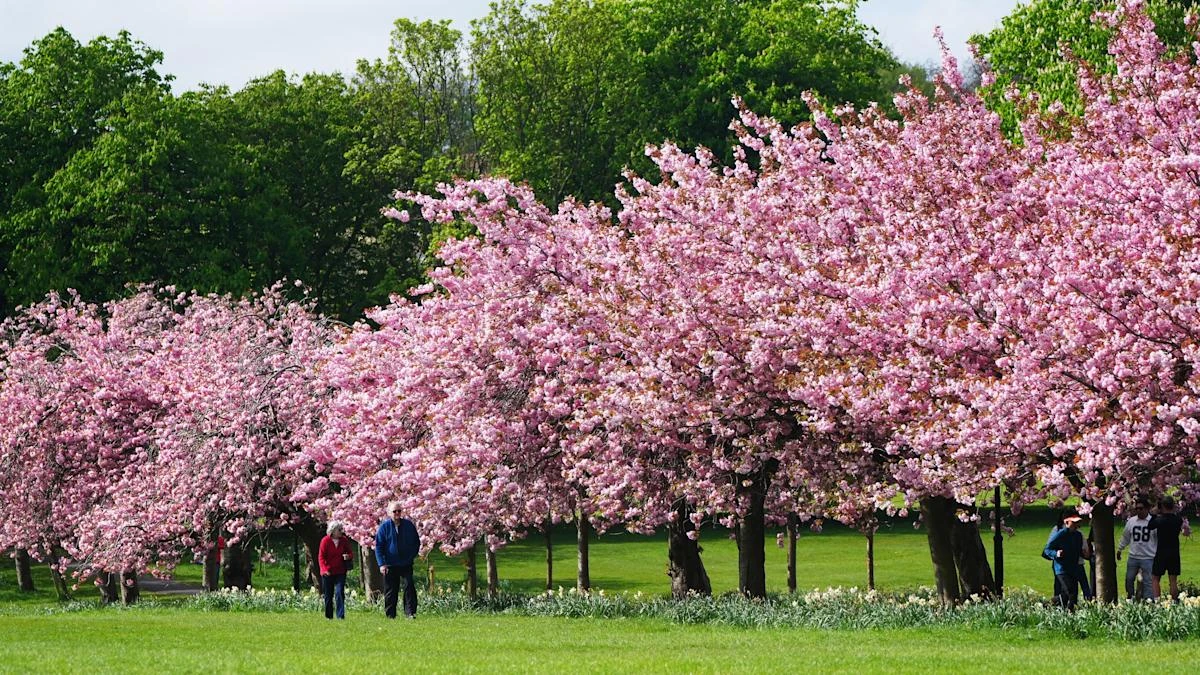 Temperatures could reach up to 10C above average in England and Wales next week