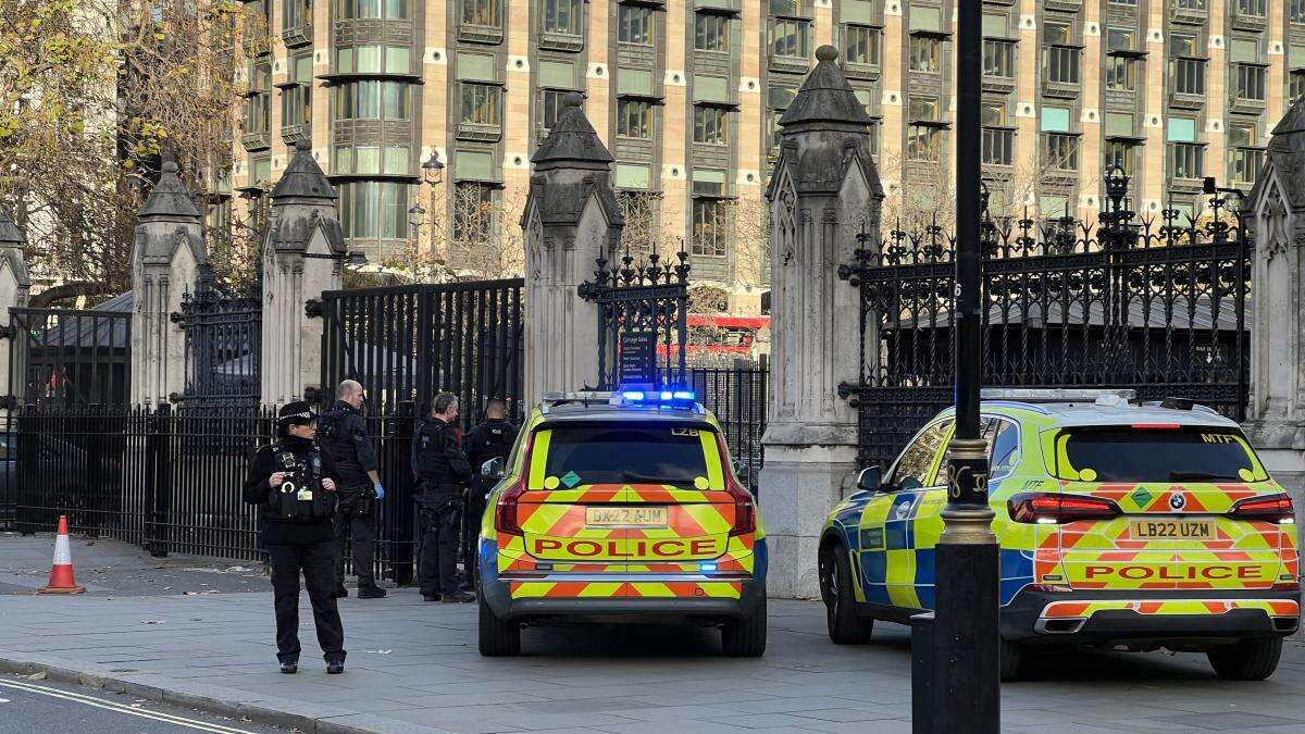 Man faces offensive weapons charges after incident outside Parliament