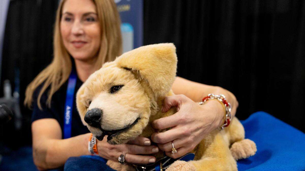 CES 2025: AI-powered beauty mirrors and robot pets among gadgets on display