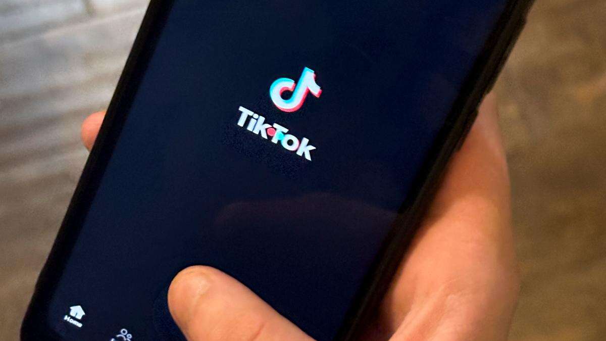 Cat videos not a security threat, says minister as he rules out UK TikTok ban