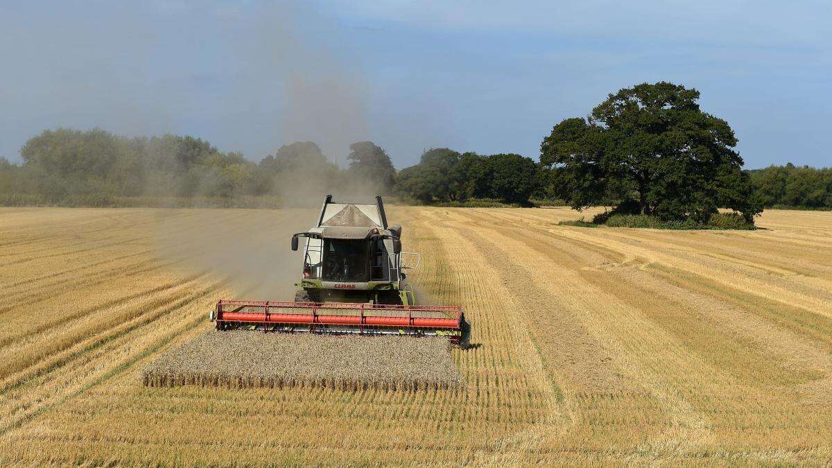 Environment minister declines to commit to farmer funding before Budget