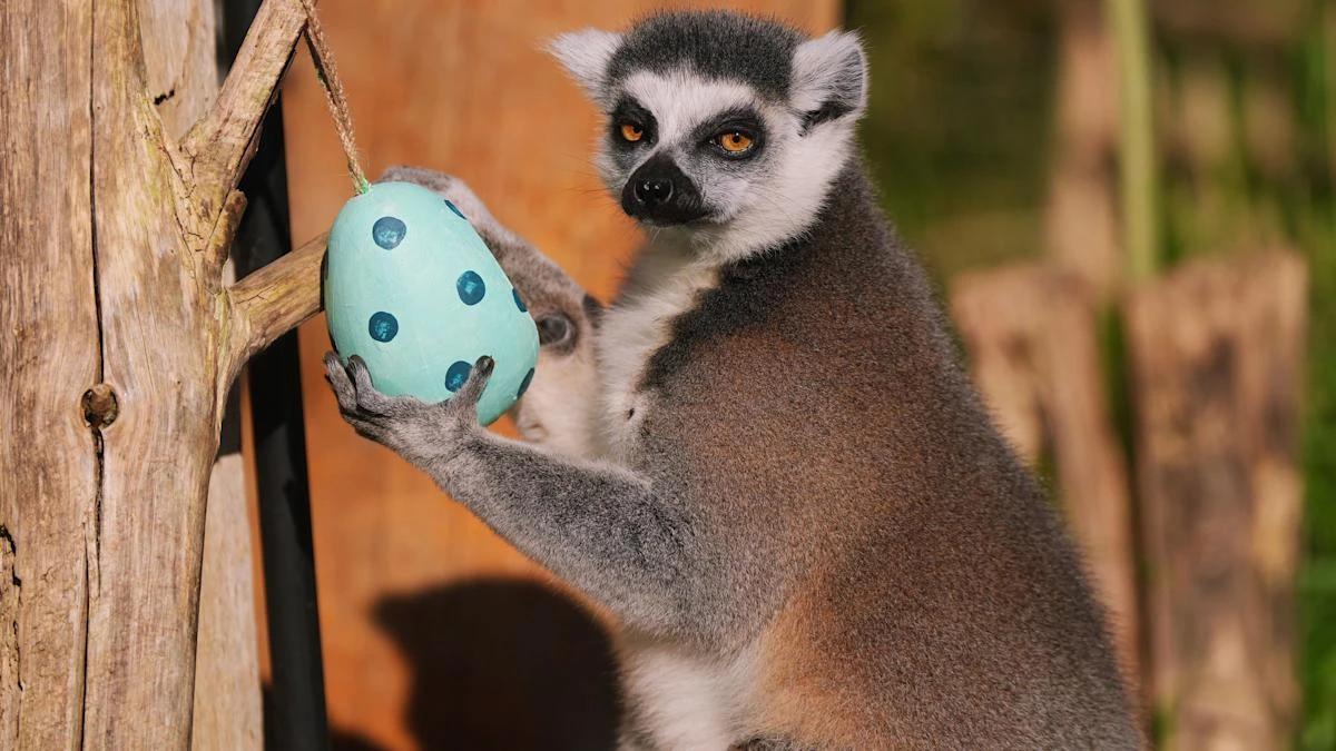In Pictures: Never too early for Easter eggs at London Zoo