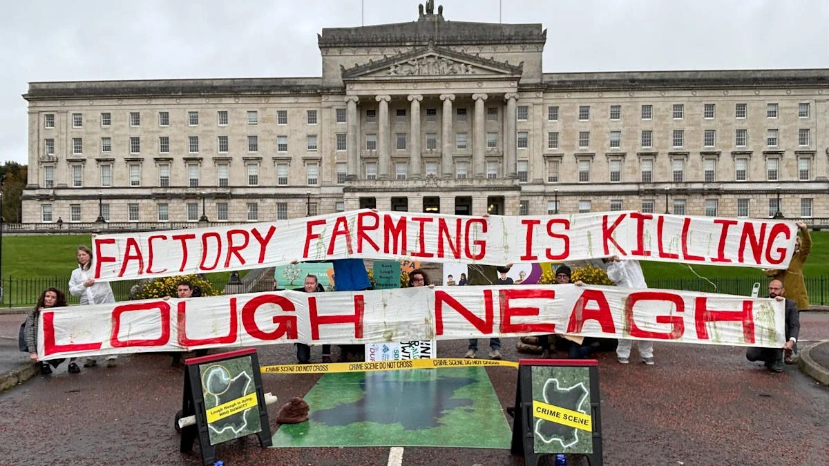 Stormont declared ‘crime scene’ over environmental crisis at Lough Neagh