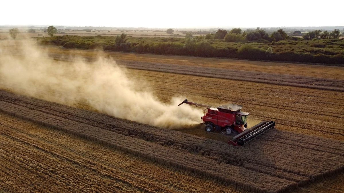 UK harvest on course for near record low after drought hits crops – analysis