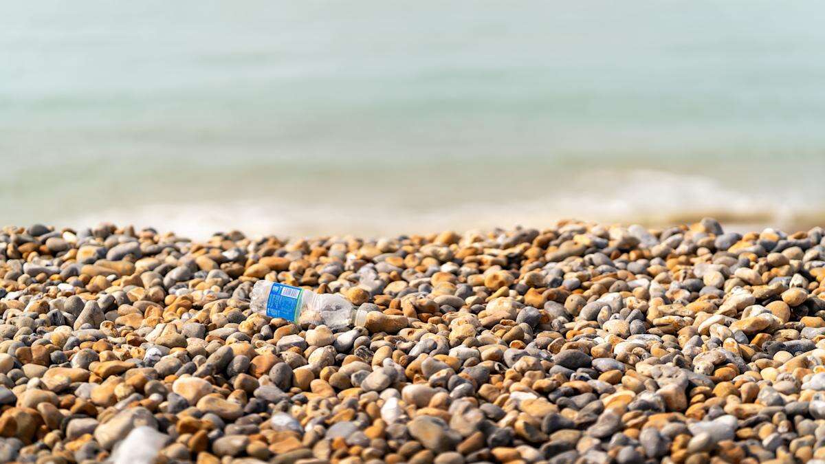 Plastic litter increases by nearly 10% on UK beaches, charity clean-up finds