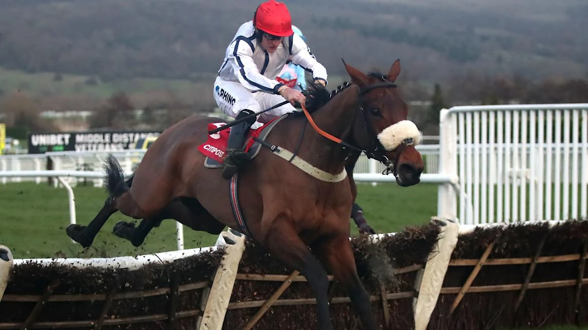 Greenall backing White Rhino to punch his weight in Sefton