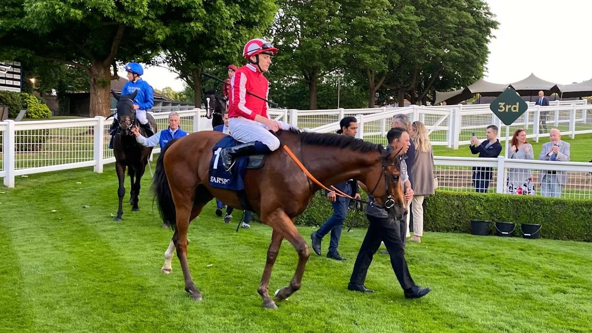 Bay City Roller bids to be Dollar hit for Scott