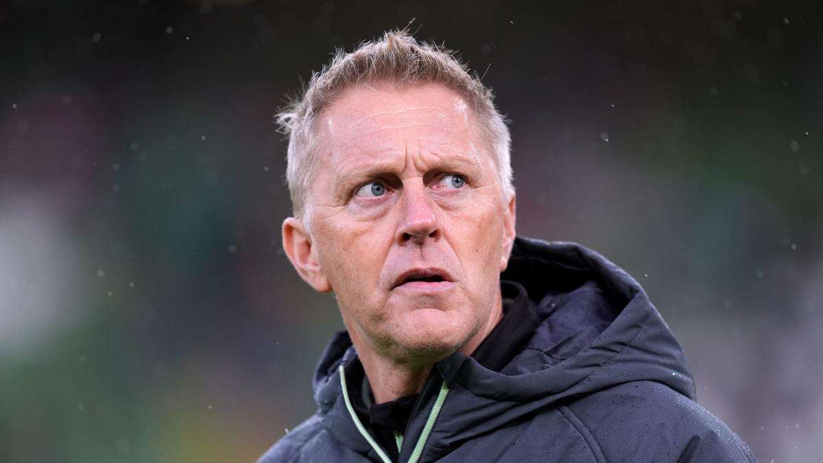 Heimir Hallgrimsson wants teams to hate playing his Republic of Ireland team