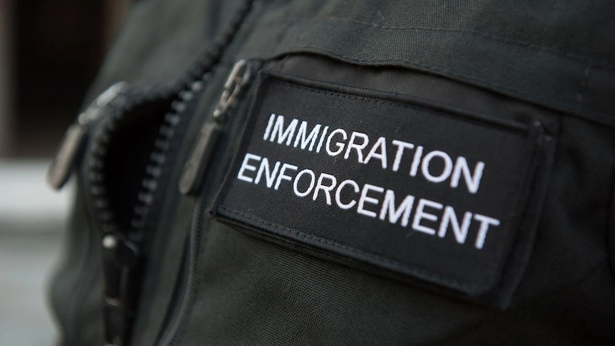 214 held by immigration enforcement for working illegally in Northern Ireland