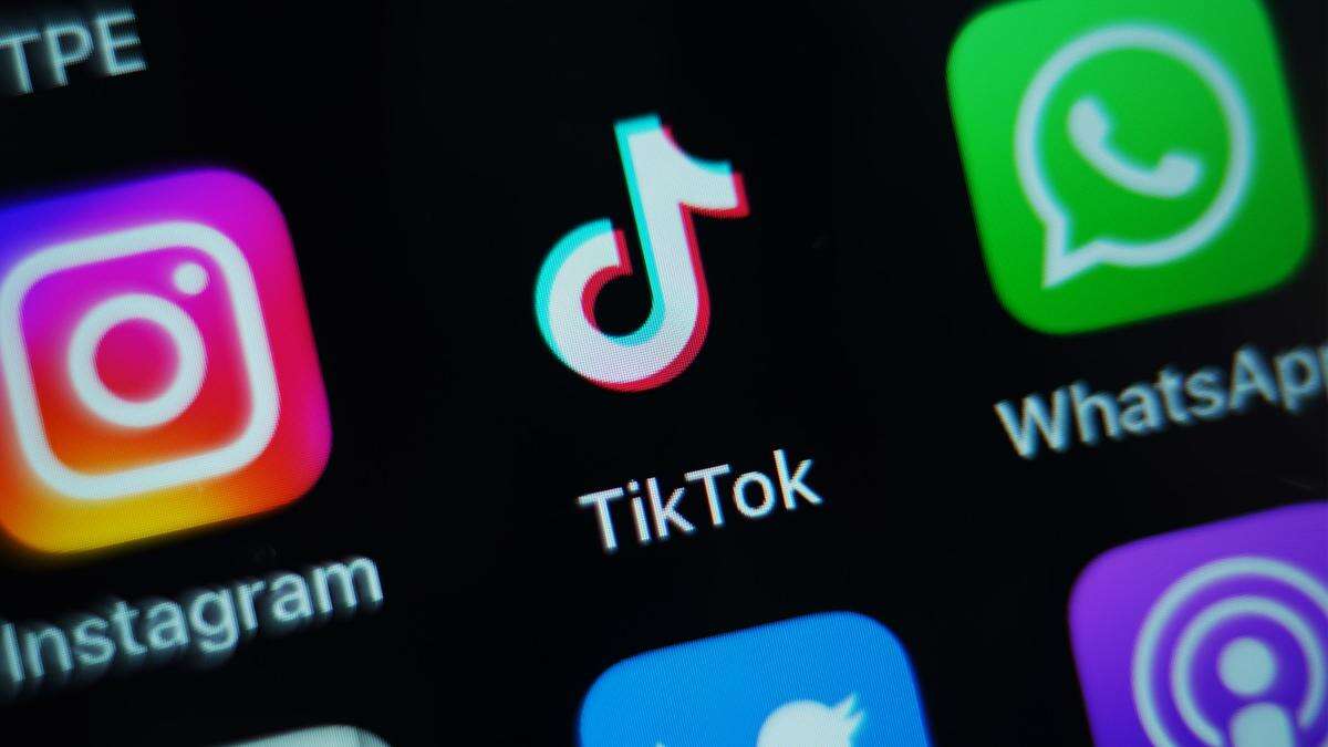 TikTok says reports of possible sale to Elon Musk are ‘pure fiction’