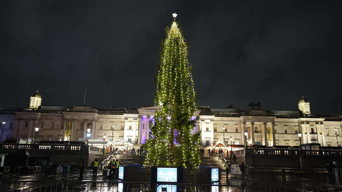 Fact check: Trafalgar Square Christmas tree appears similar to previous years