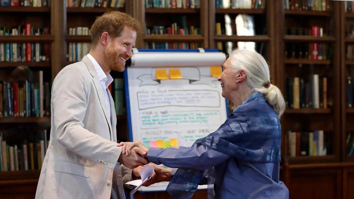 Harry and Meghan lead tributes as conservationist Jane Goodall dies aged 91