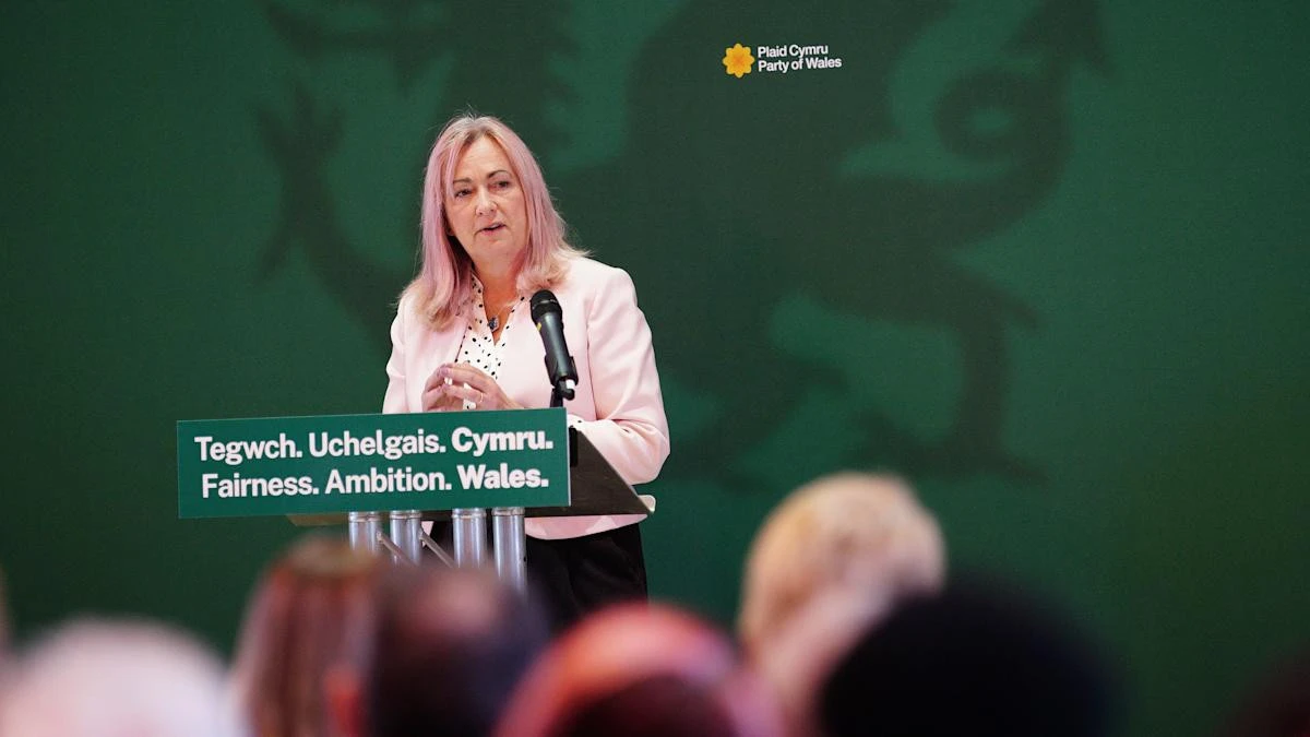 Small parties must get chance to scrutinise assisted dying proposal, Plaid urges