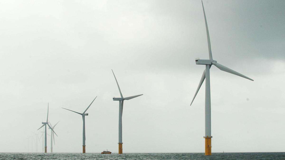 ‘Highest level’ of security given to wind farms, No 10 says, amid China worries