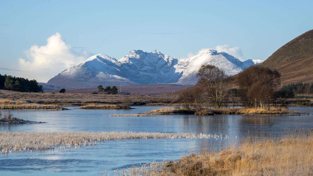 Campaigners present ‘vision of hope’ for Scotland to become rewilding nation