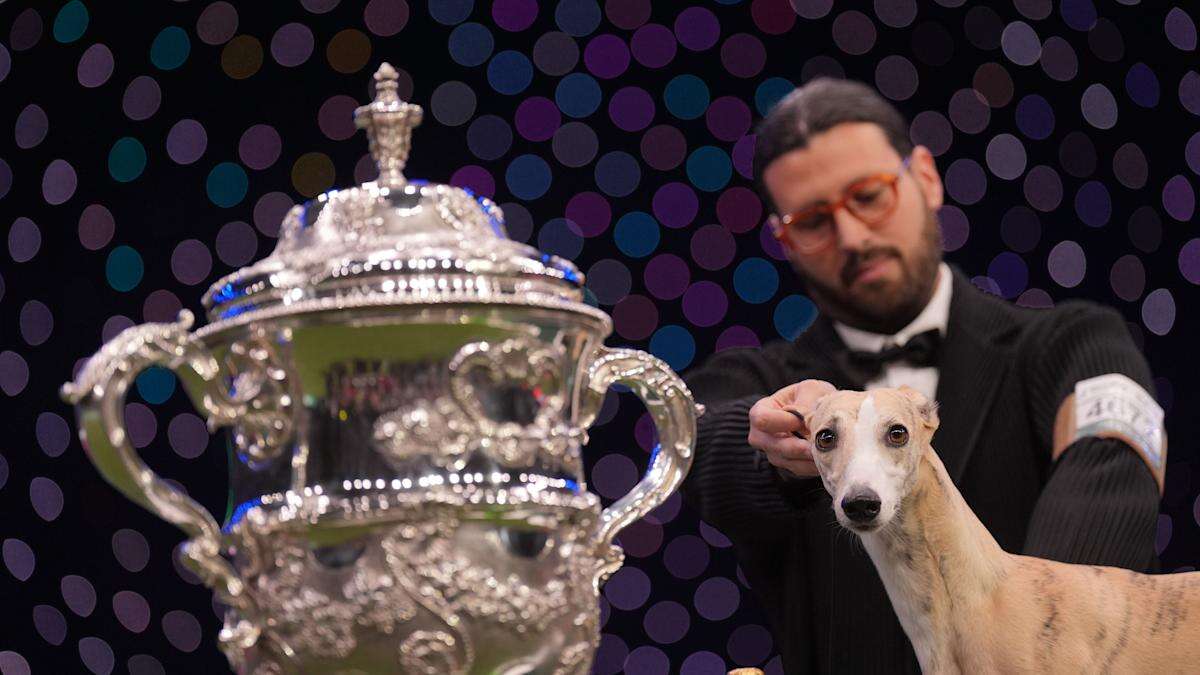 Whippet called Miuccia crowned best in show at Crufts