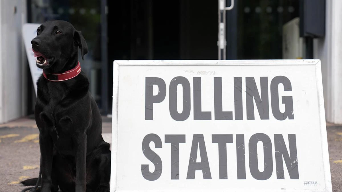 Estimated declaration times for May 1 local and mayoral elections