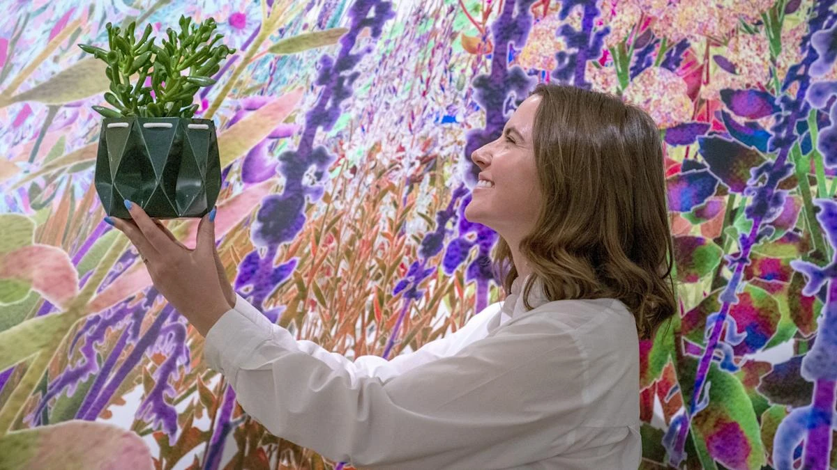 Garden design exhibition at V&A Dundee aims to inspire ‘joyful future’