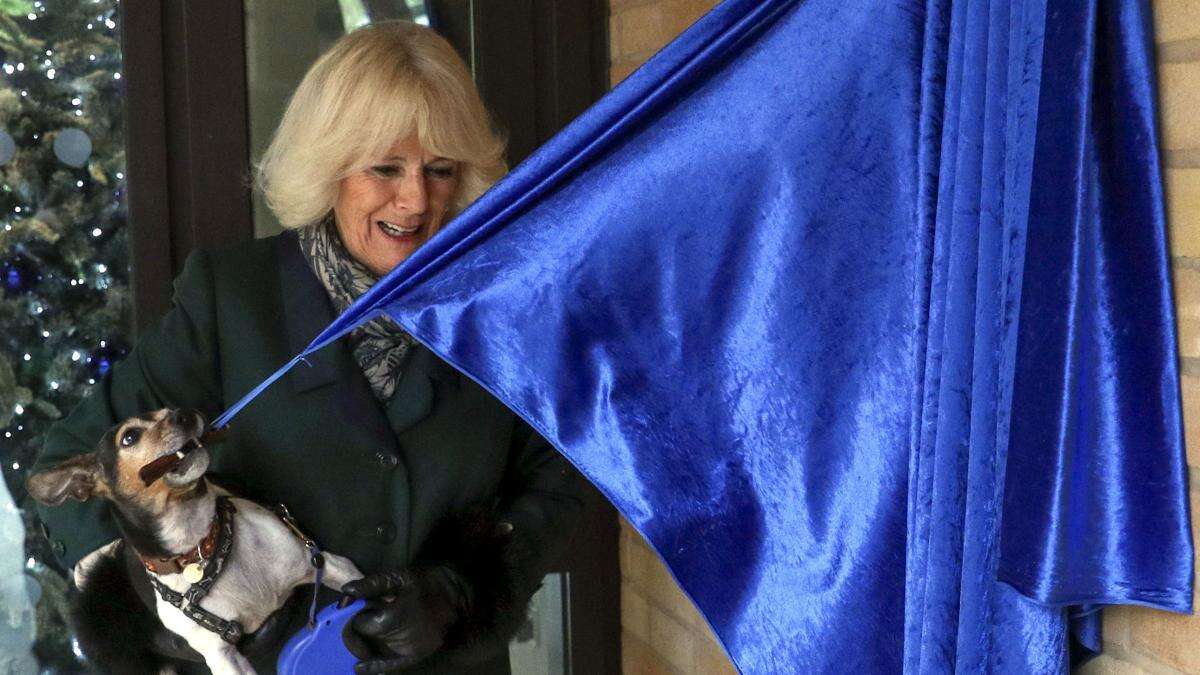 Heartbroken Camilla mourns death of beloved dog Beth