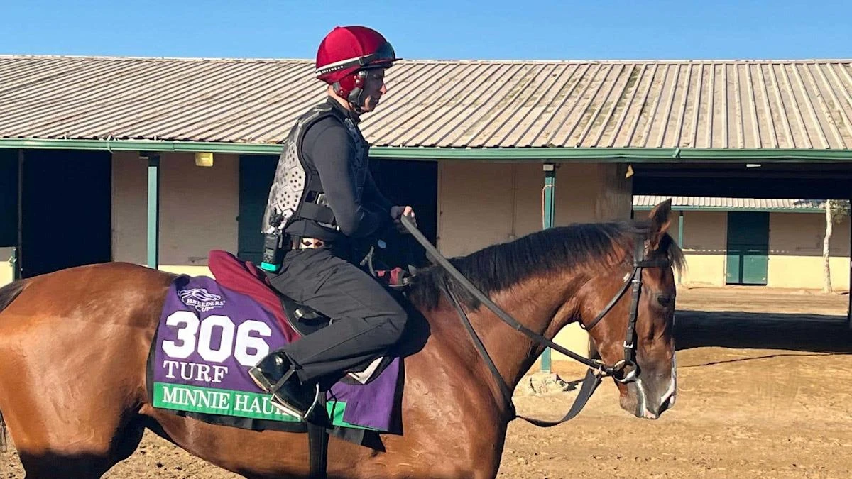 Minnie Hauk and The Lion In Winter to race on next year