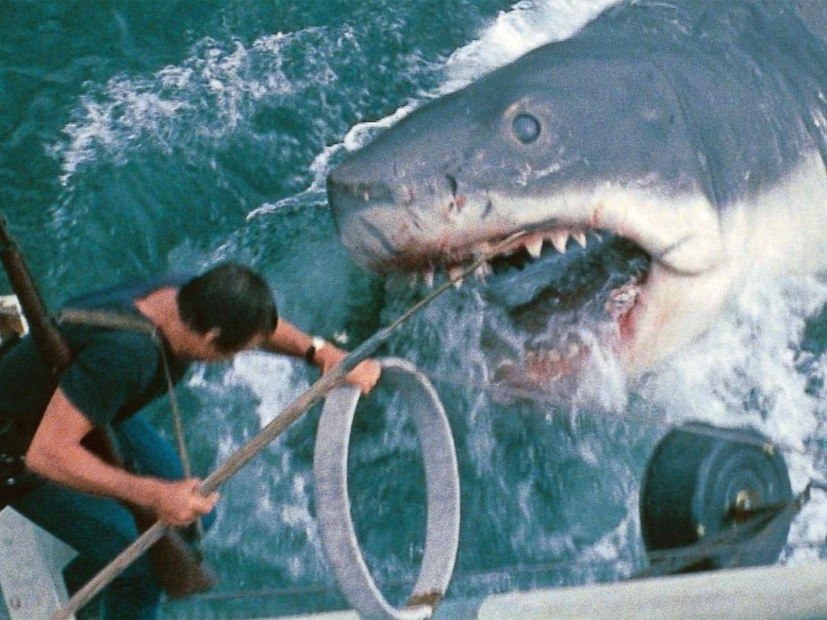 Did Jaws actually ruin the reputation of real sharks?