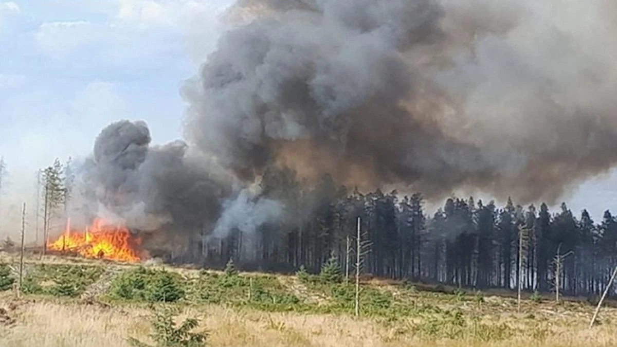 Second World War munitions hamper moorland blaze firefighters