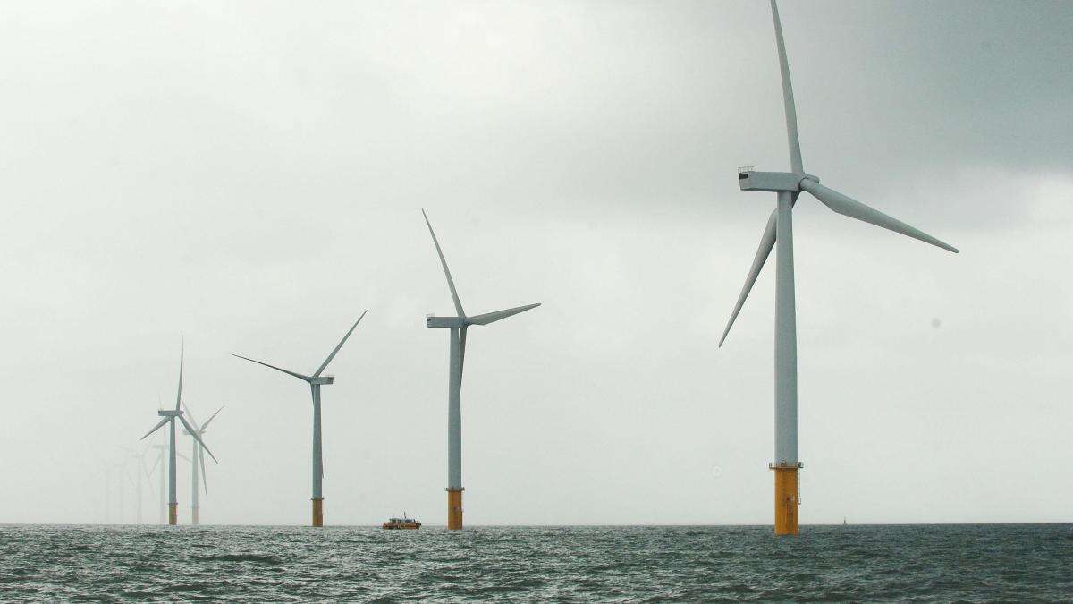 Rules to curb harmful underwater noise in offshore wind construction unveiled