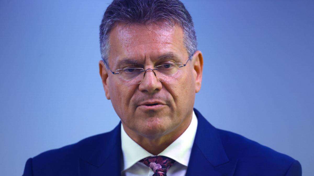 EU could consider UK joining pan-Europe customs deal, says Sefcovic