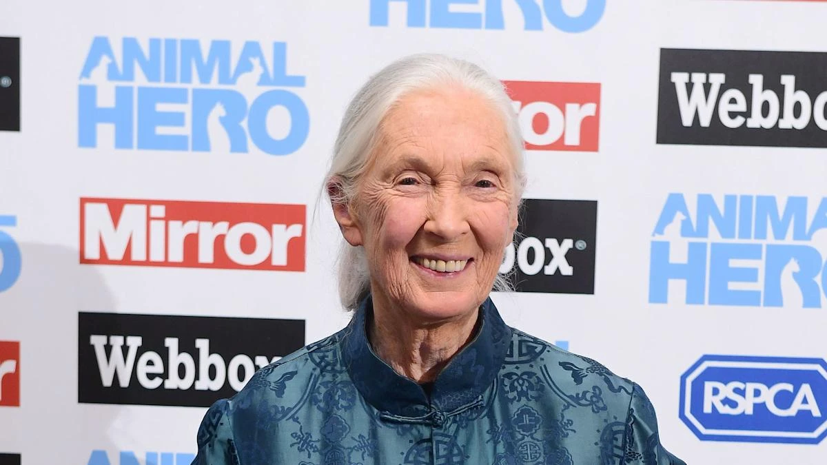 William hails Jane Goodall for ‘challenging us all to make a difference’