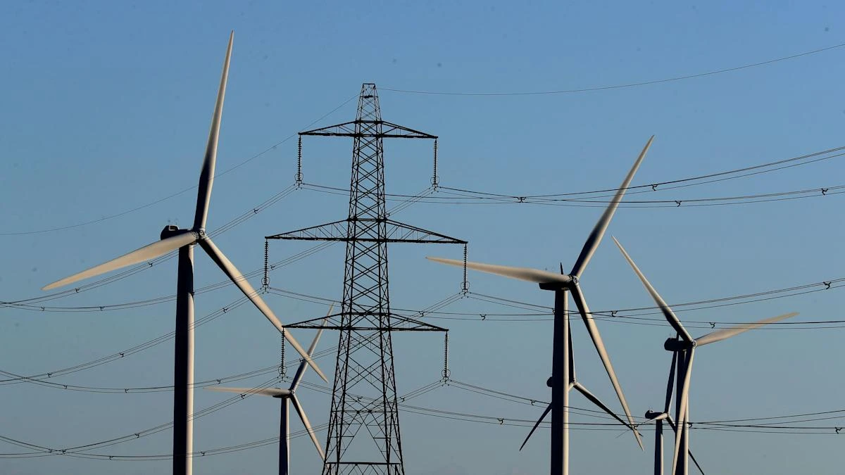 Take some green levies, not VAT, off bills to cut energy costs, Treasury urged