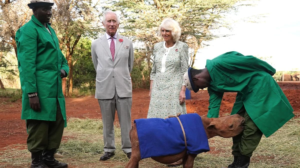 Royal tour paintings from Charles’s personal collection to go on display