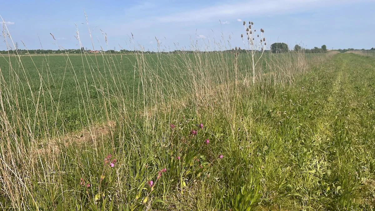 Around 3,000 farmers can apply for closed nature farming scheme after ‘error’