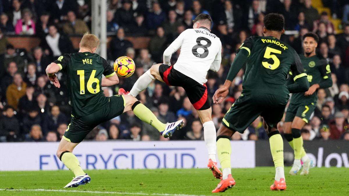 Supersub Harry Wilson stings Bees with added-time double for Fulham