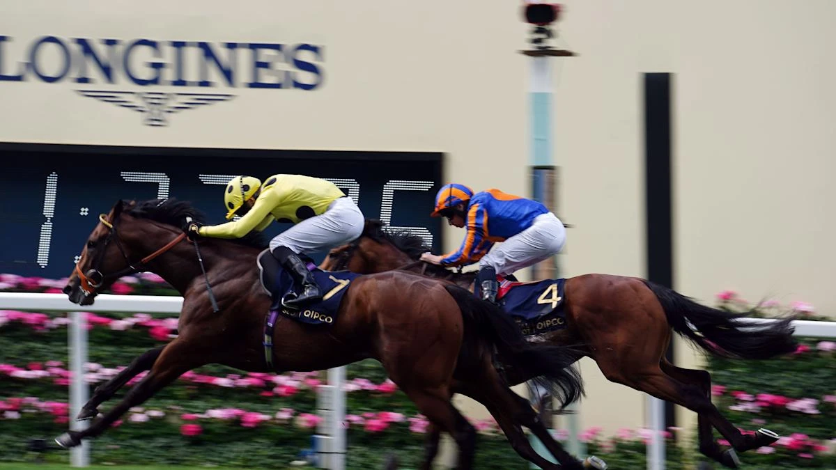 Classic-winning Rosallion set for retirement
