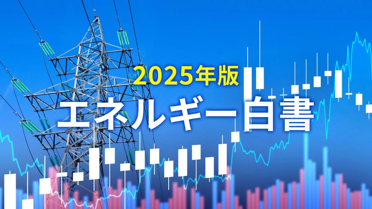 「エネルギー白書2025年版」見どころ徹底解説、どれが有望？6つの次世代エネ最新事情