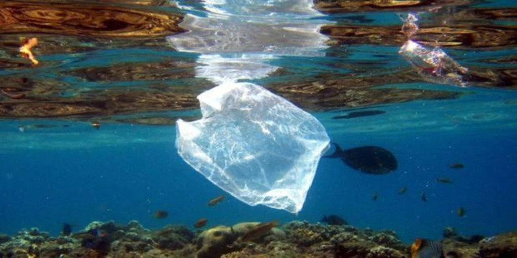 La esperanza de la bacteria que se come el plástico  