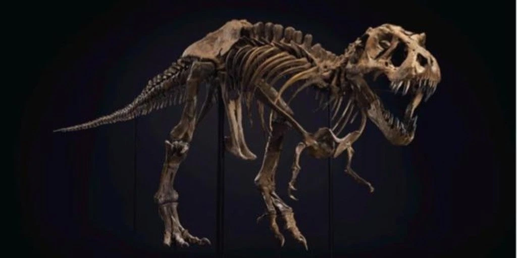 El esqueleto de T-Rex que pelea por desbancar a Picasso