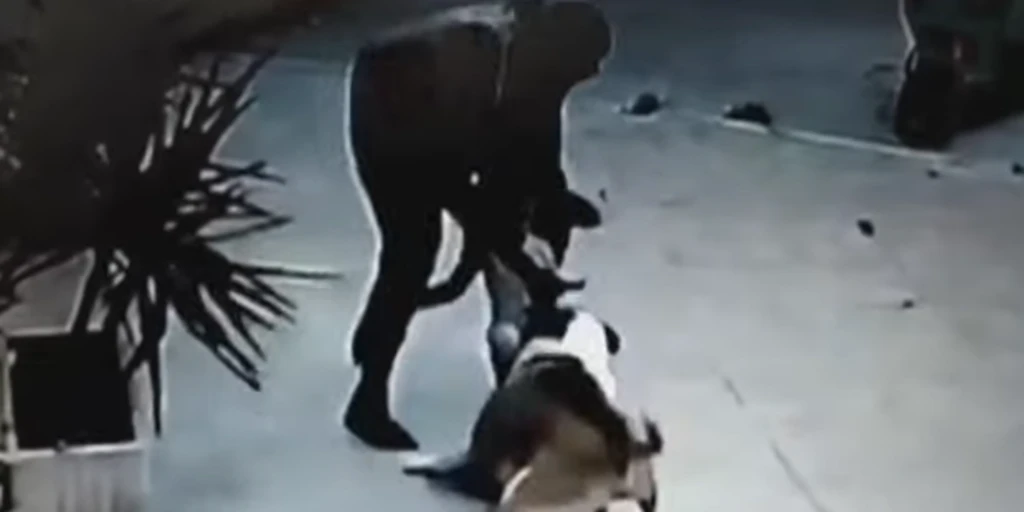 Una veterinaria le salva la vida a una niña de dos años que fue atacada por un perro