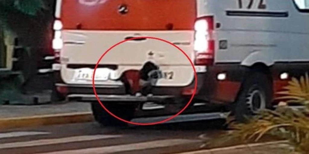 Una perrita se sube al parachoques de una ambulancia para poder acompañar a su dueño al hospital