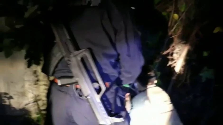 Un jabalí macho se cuela en una tienda china y arremete contra todo a su paso
