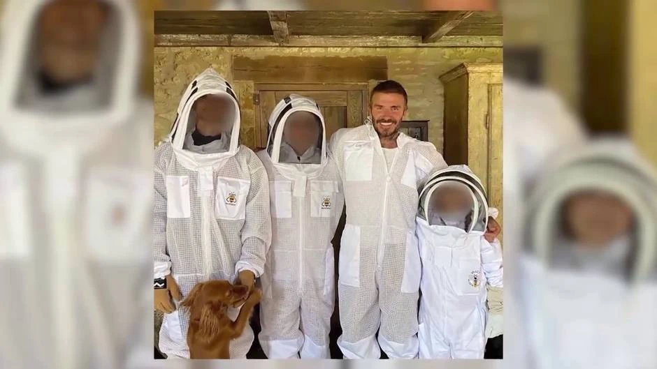 David Beckham venderá su propia miel orgánica