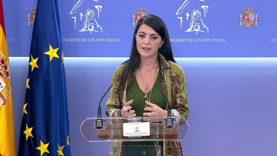 Vox ve la bajada del IVA de la luz como 
