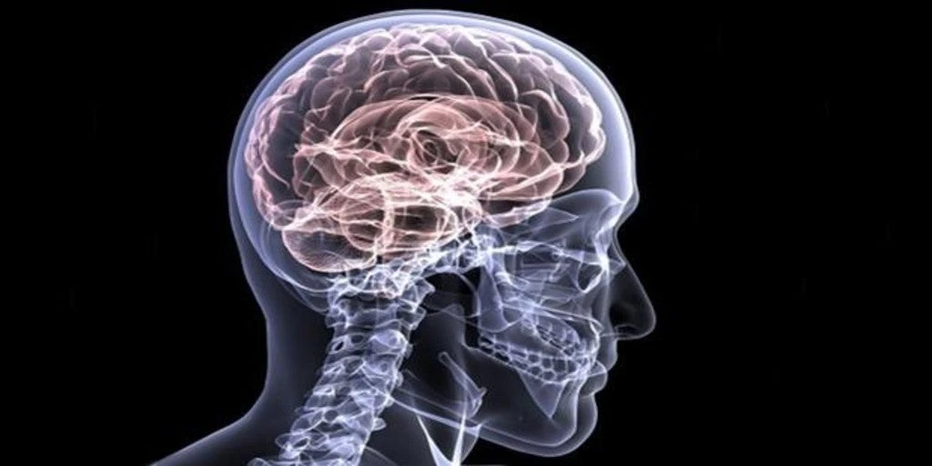 Aducanumab, el primer fármaco que puede frenar el alzheimer 
