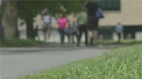 A look at some of the work being done in N.B. to prevent intimate partner violence