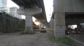 Gardiner Expressway, DVP partially closed after alleged carjacking, police pursuit