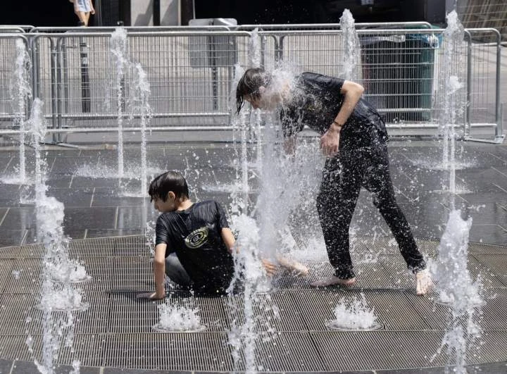 From tree cover to green roofs, how are cities fighting extreme heat?
